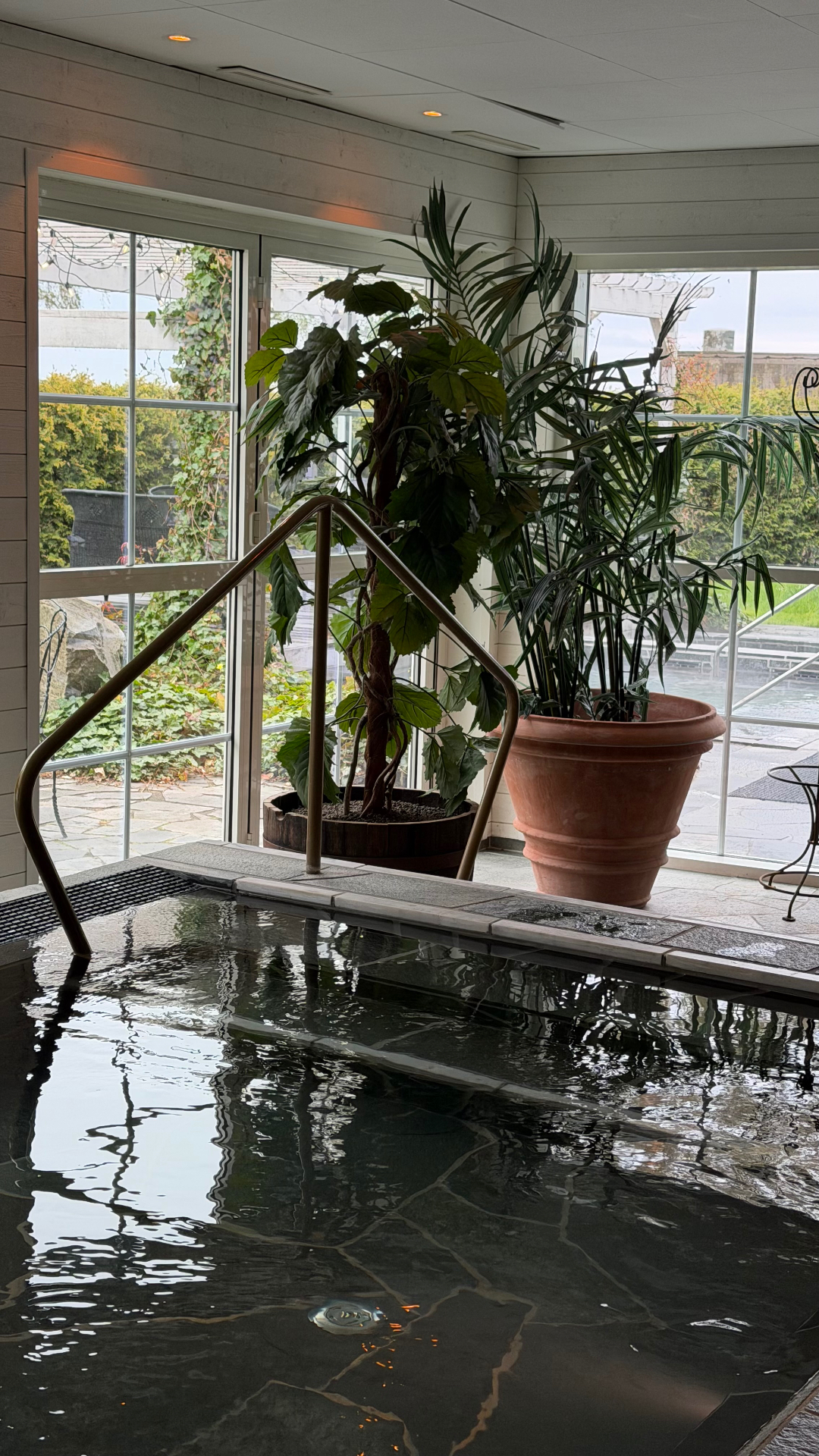 Indendørs pool med planter på spaopholdet